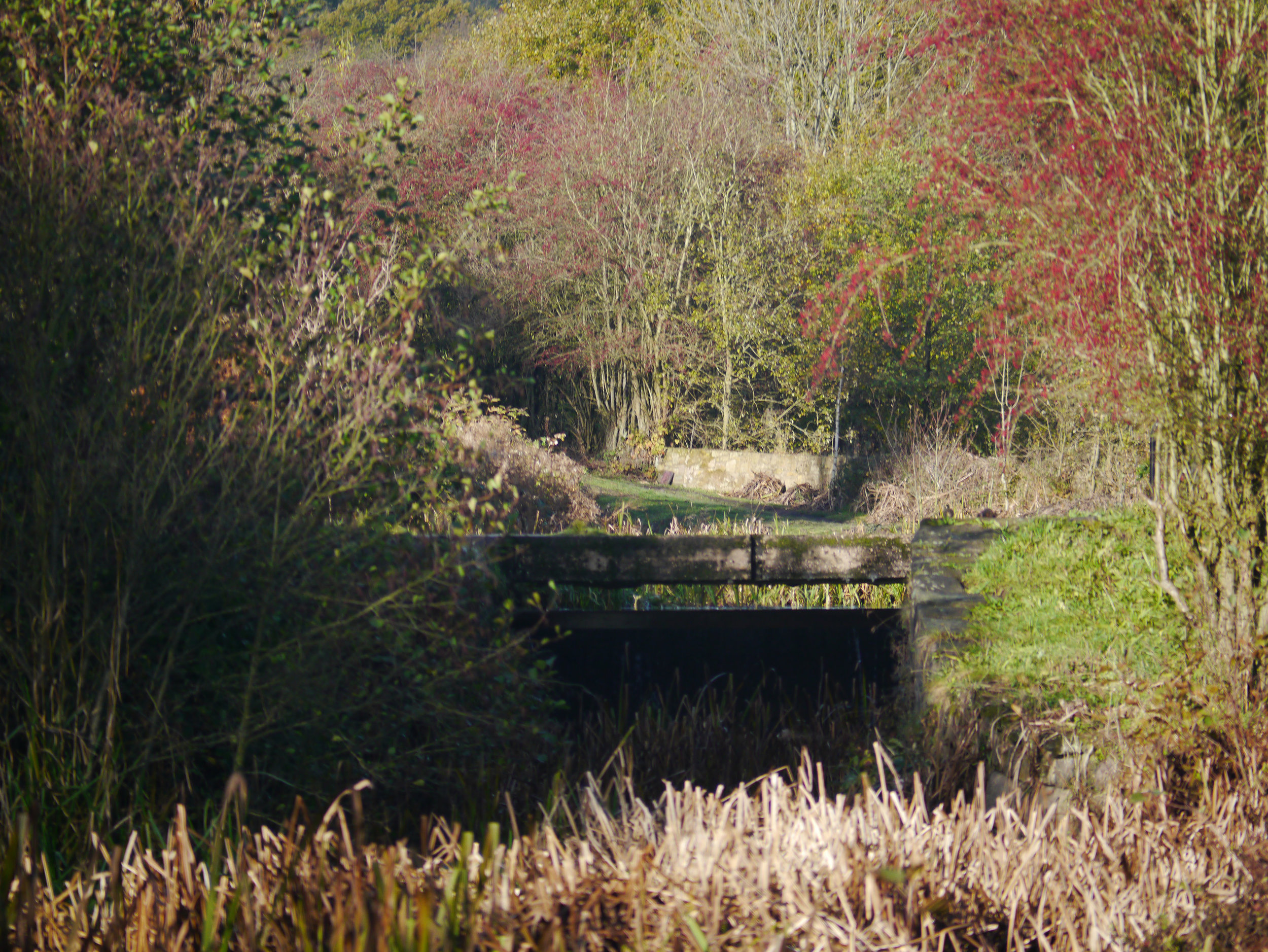 Cromford canal 