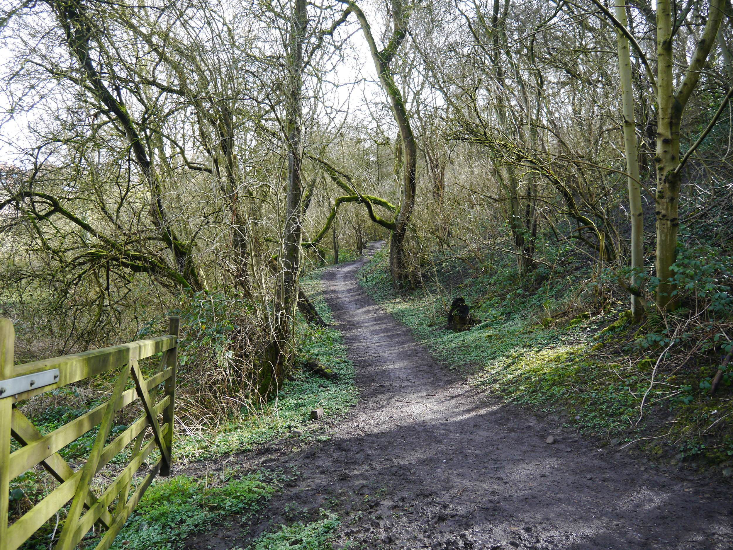 Former railway, now a footpath