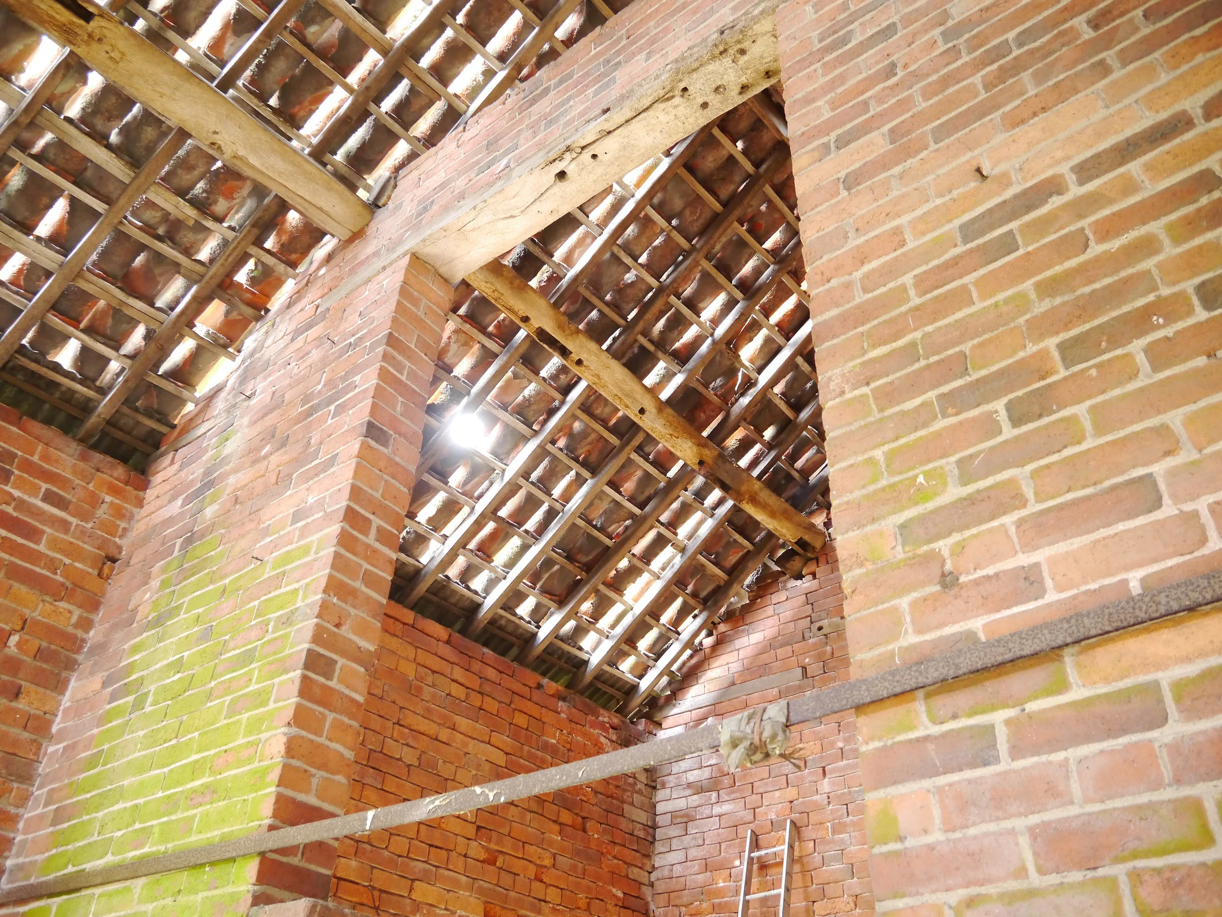 P1050505blog.jpg