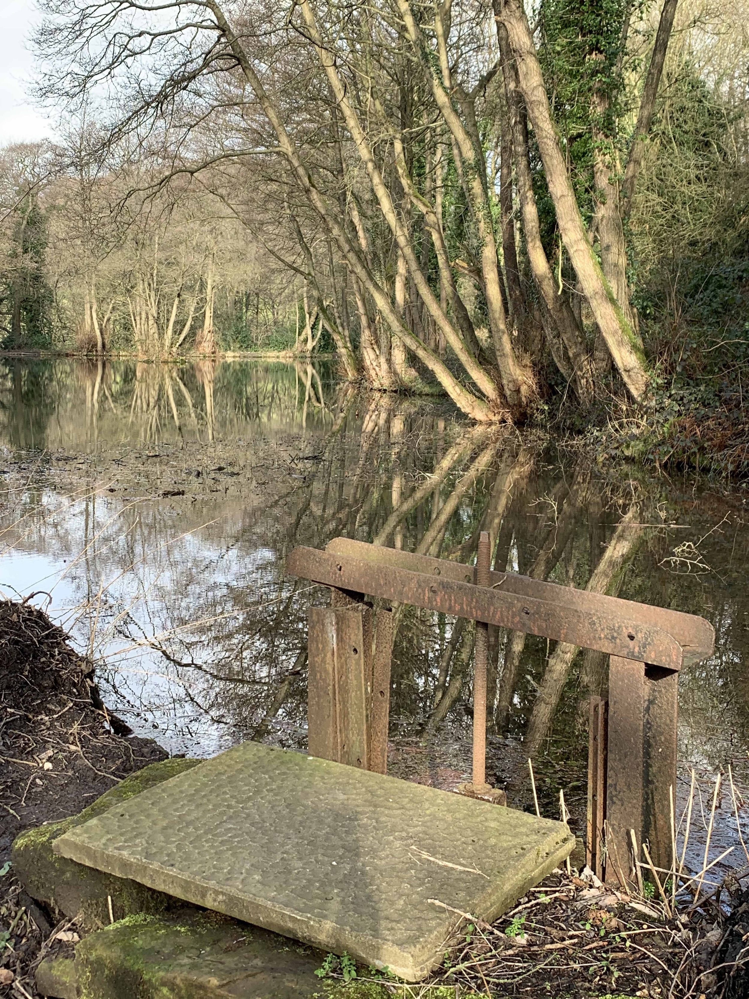 Lumsdale pond at Tansley