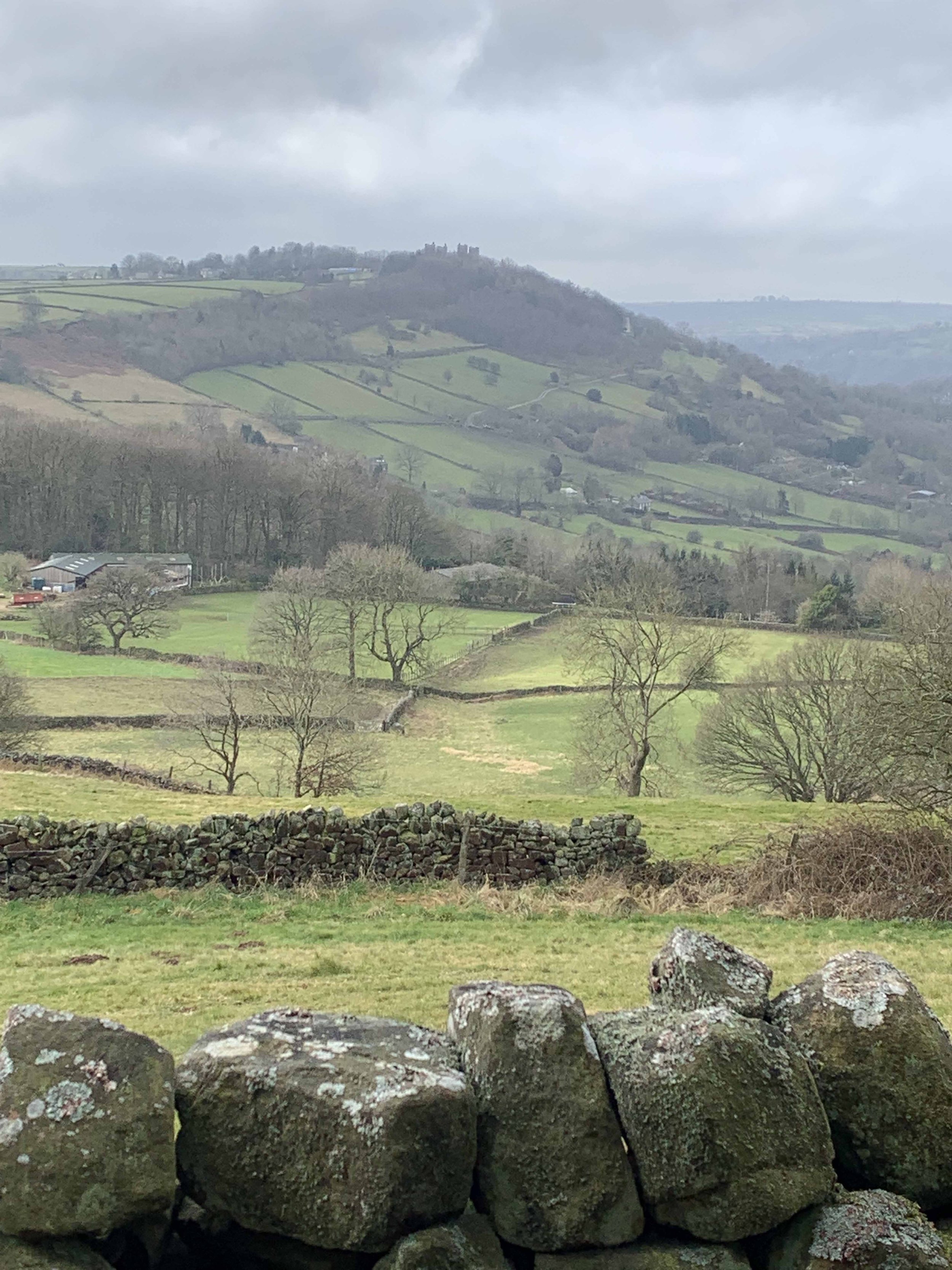 View across Lumsdale valley to Riber castle