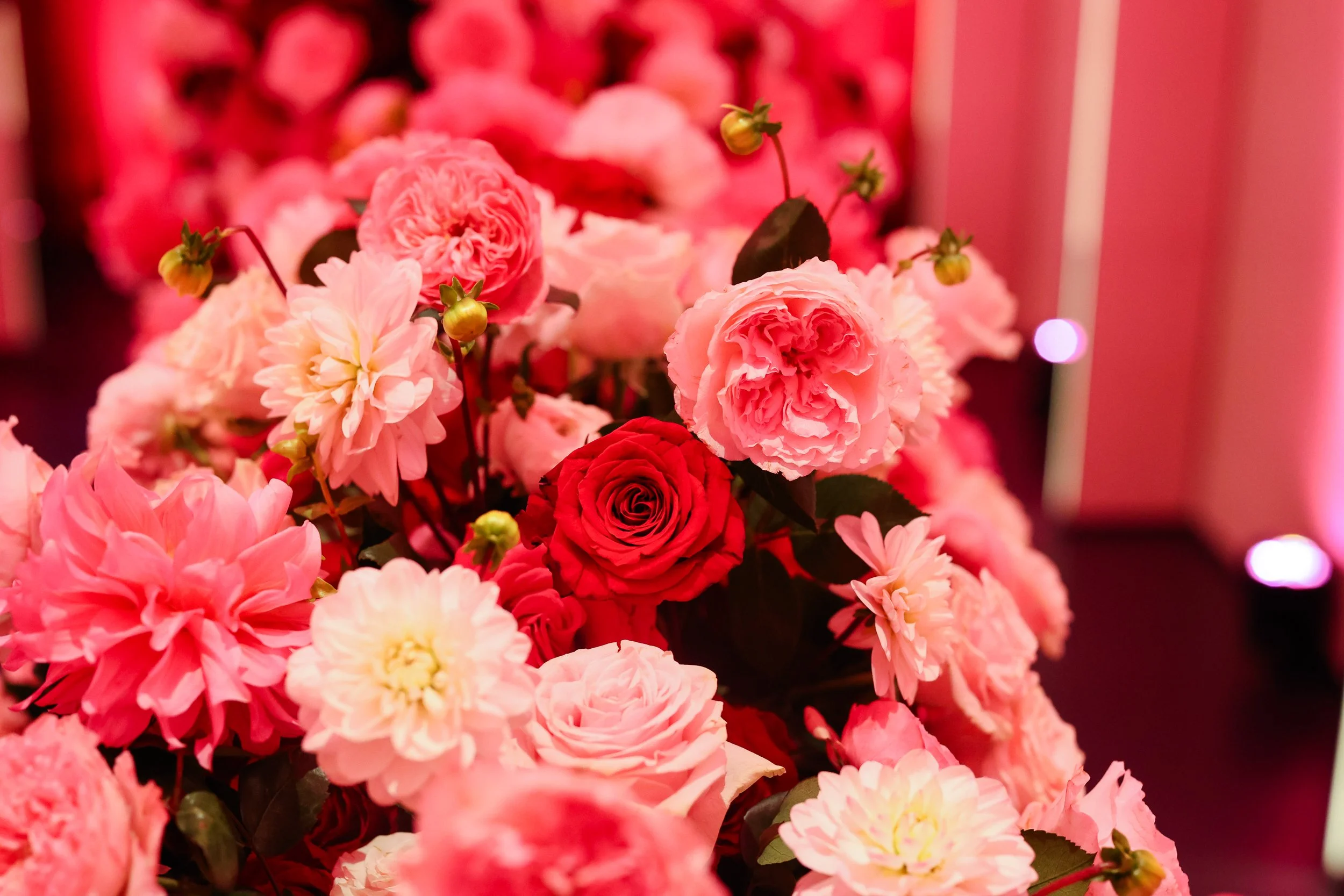 BFA_47007_6670038.jpg