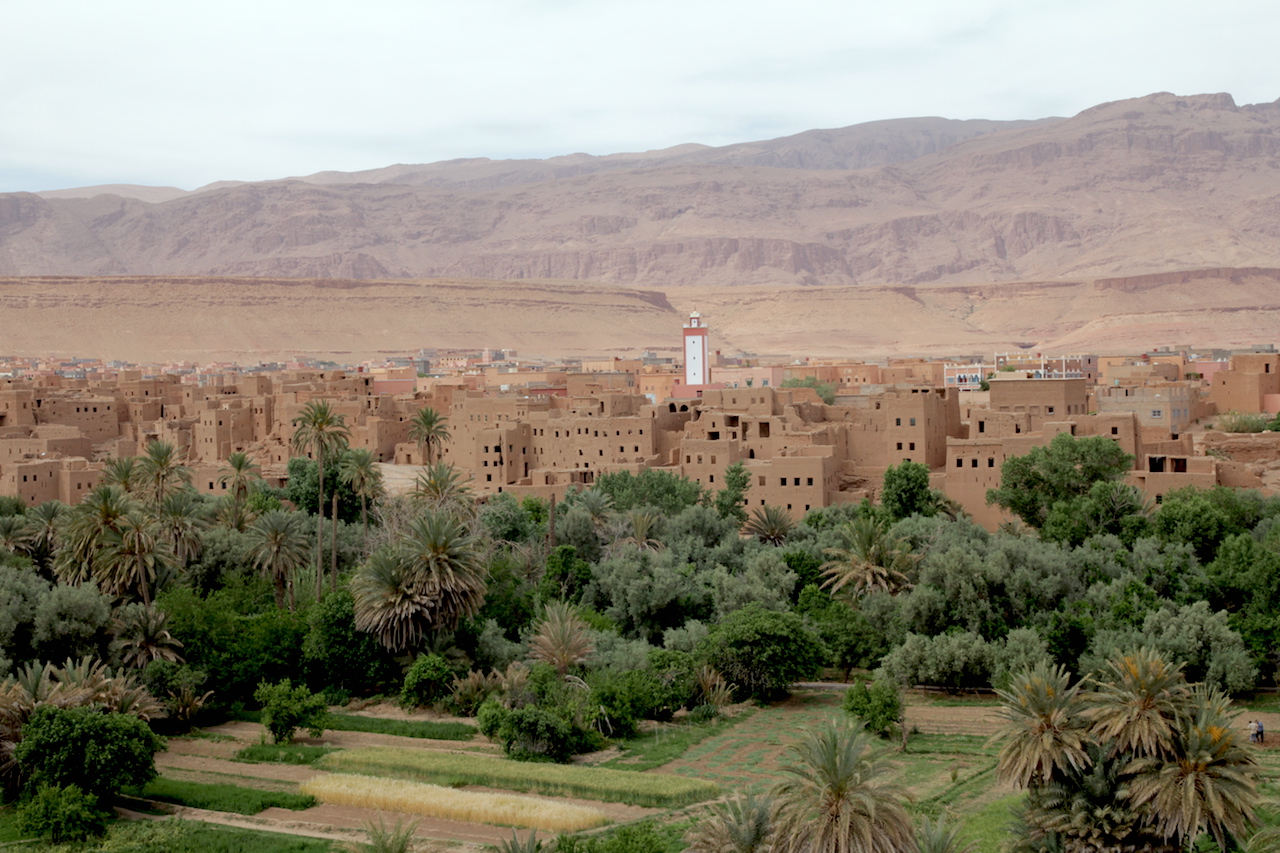 tinghir-oasis-view.jpg