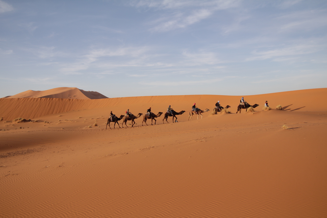 desert-camel-convoy1.jpg