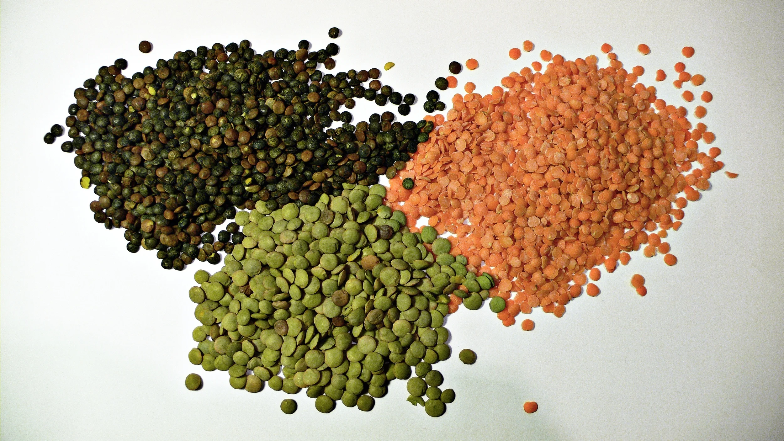 3_types_of_lentil.jpg