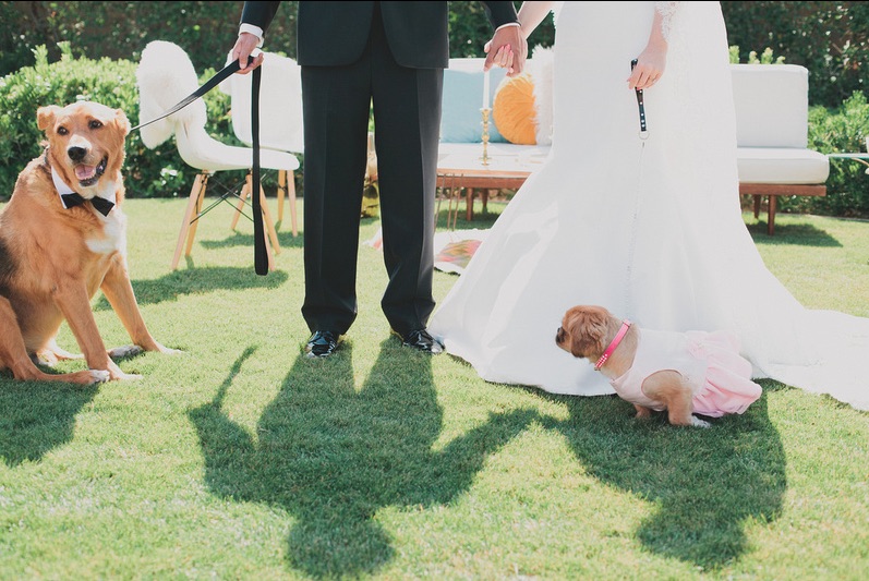 Photo provided by Forever After Wedding & Events