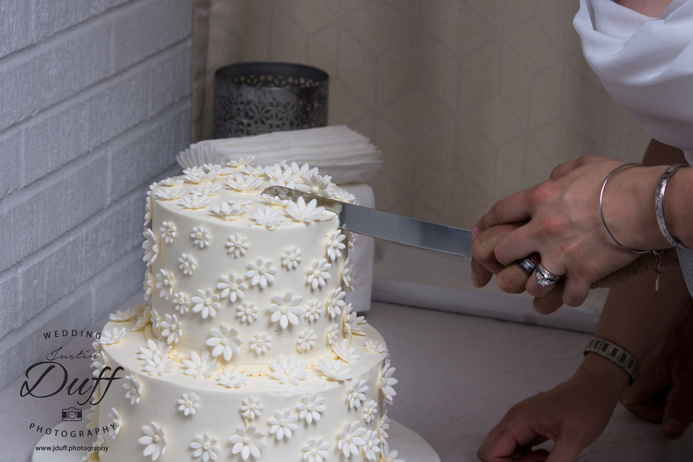  Firefighter Park Wedding - Troy MI wedding photographer. Bride and groom cutting wedding cake. 