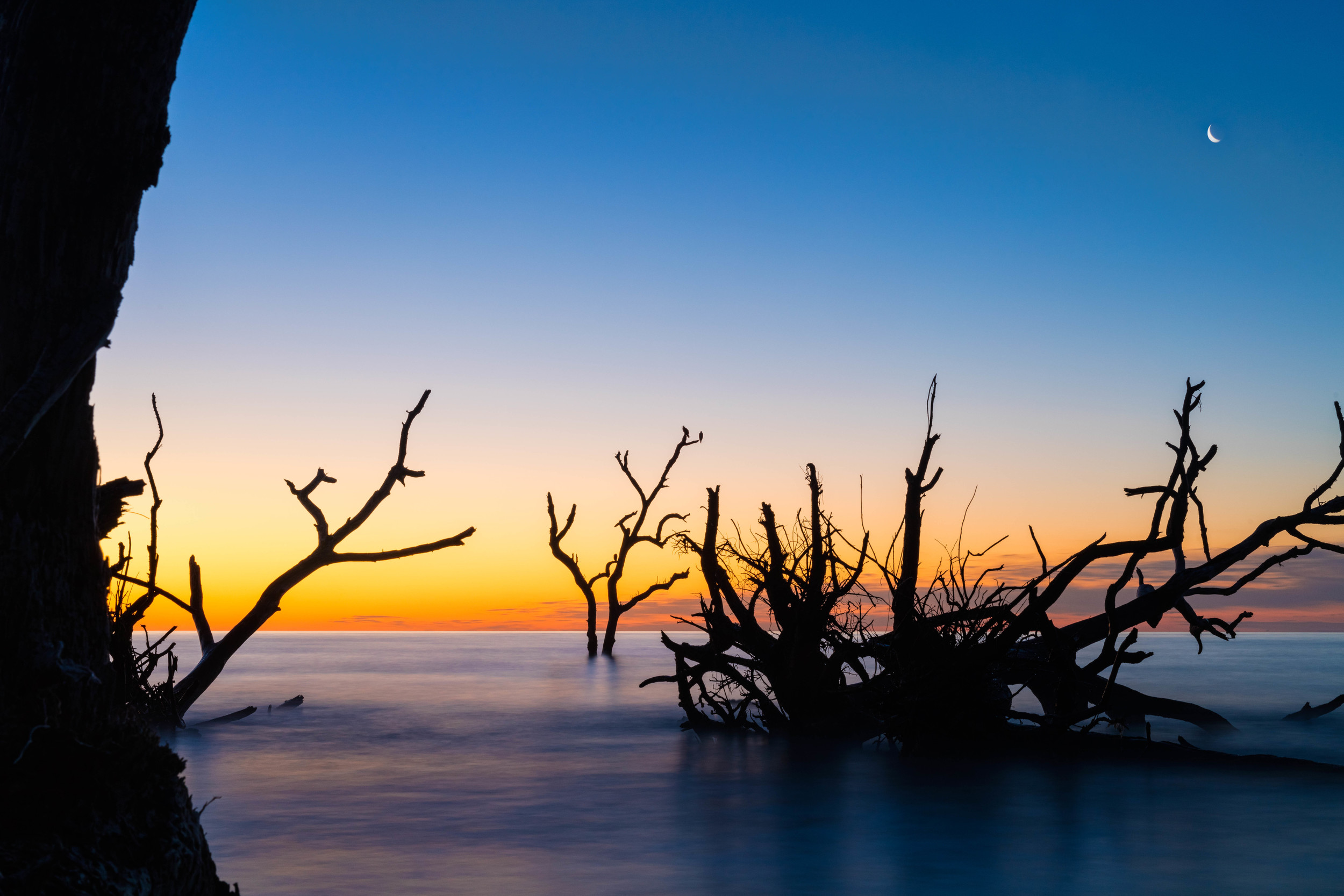114A5763-Edit-Edit-Edit-Edit.jpg
