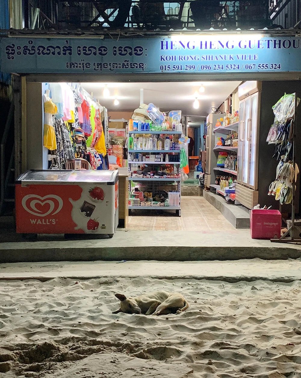 Dog in the Sand, Koh Rong Island