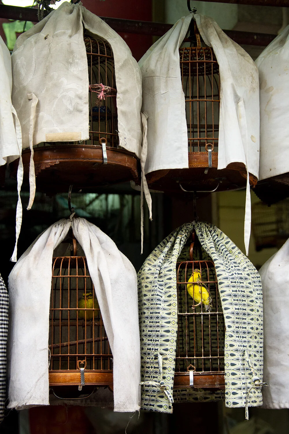 Hong Kong Bird Cage