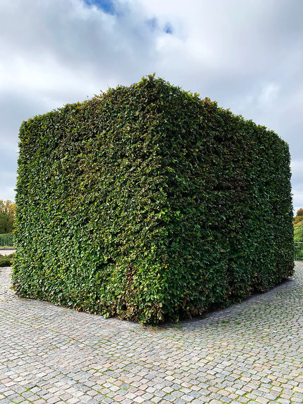 Grass Cube, Copenhagen