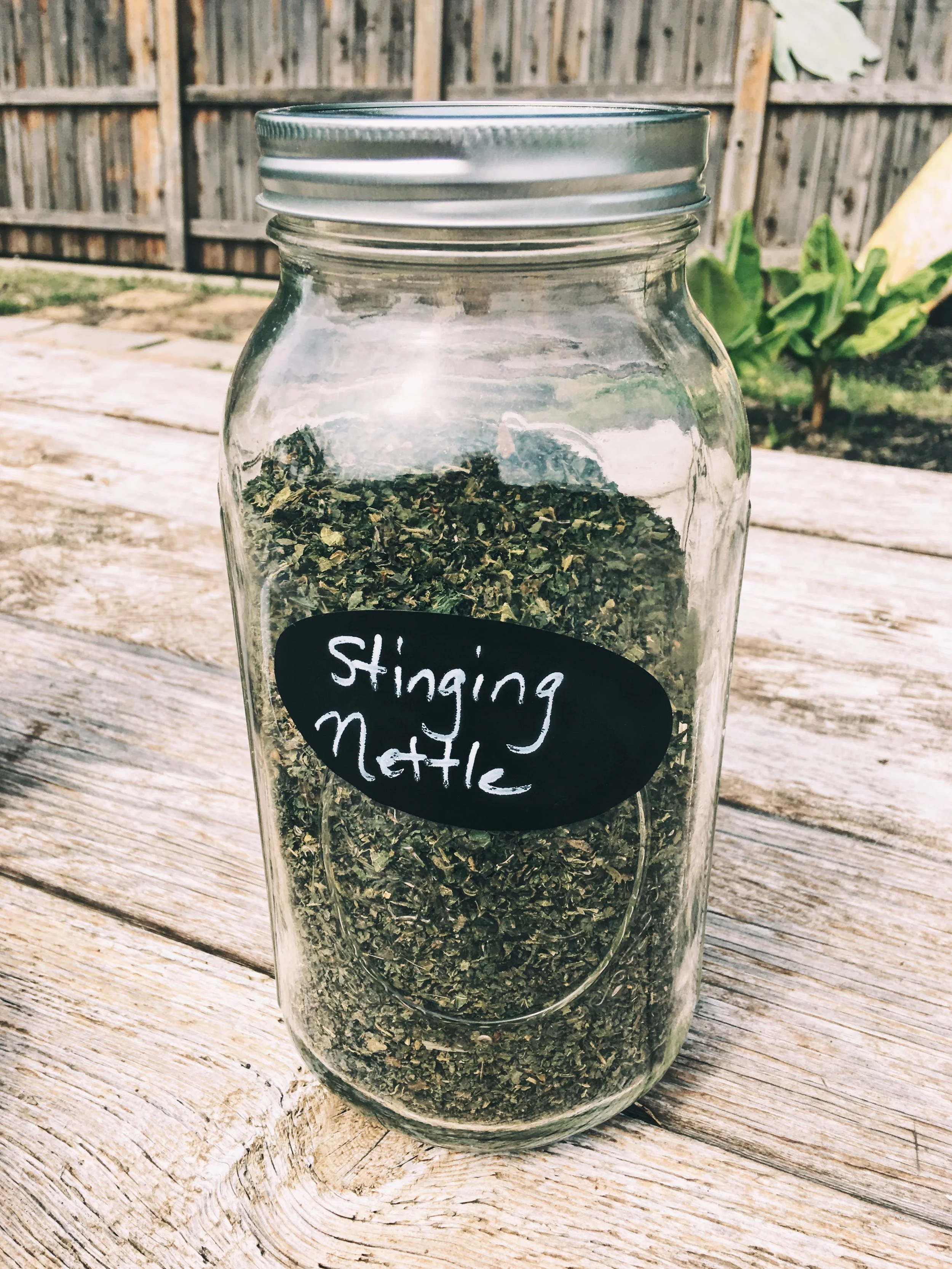 Stinging Nettle Infusion Mineral Load A Gigi Story