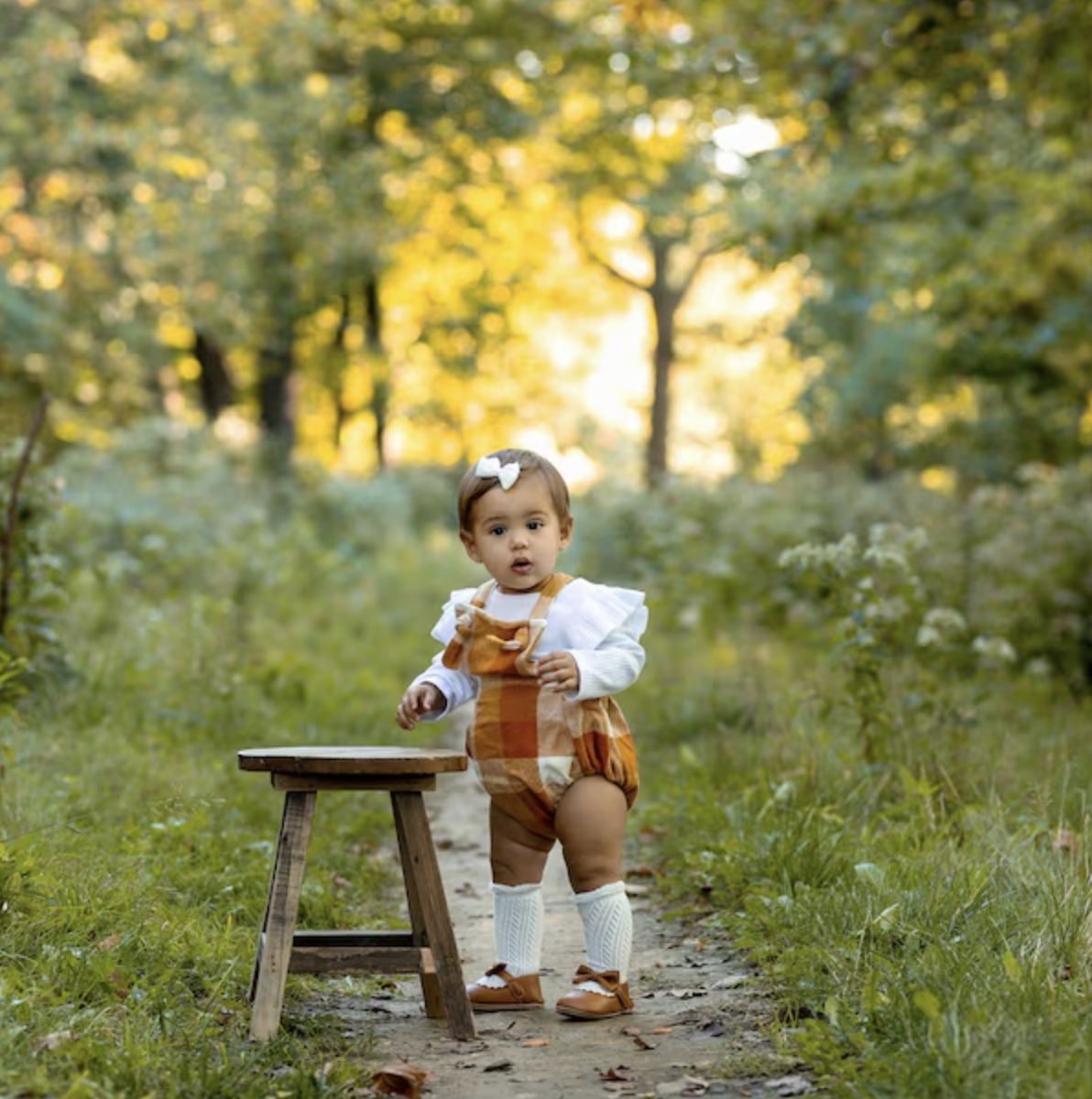 Screenshot 2024-08-05 at 2.44.09 PM.png