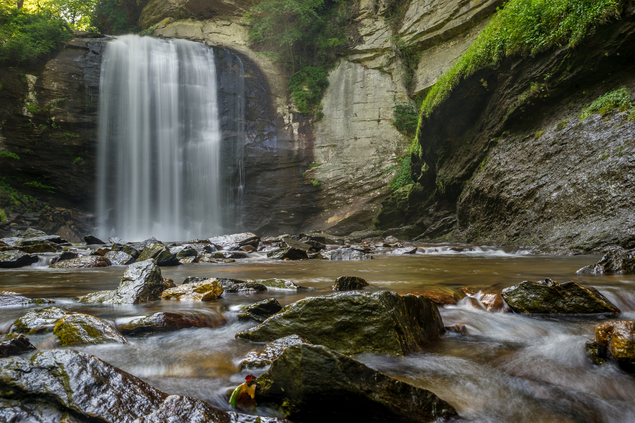 Looking Glass Falls-2.jpg
