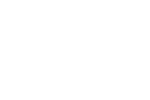 Lio-Logo-for-website.png