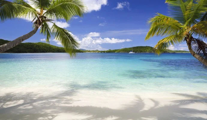 beach-palm-trees_istock_sm-690x400.jpg