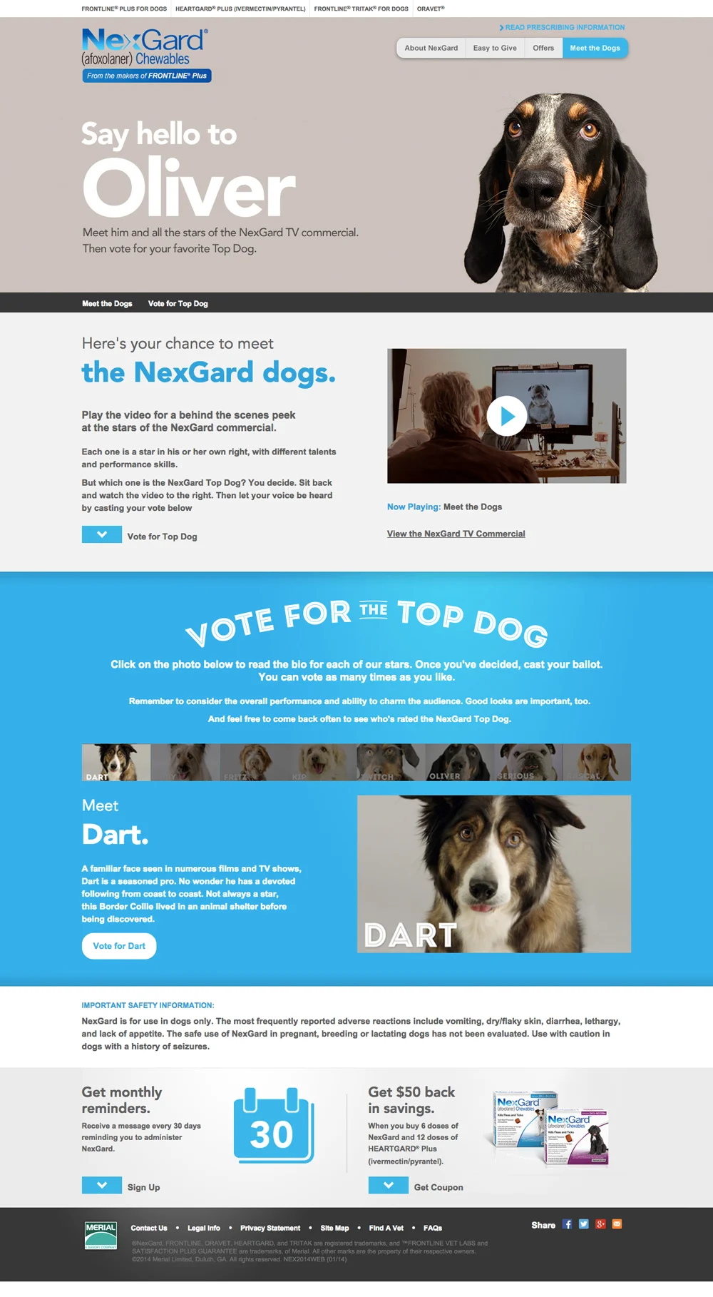meetthedogs_interior.jpg