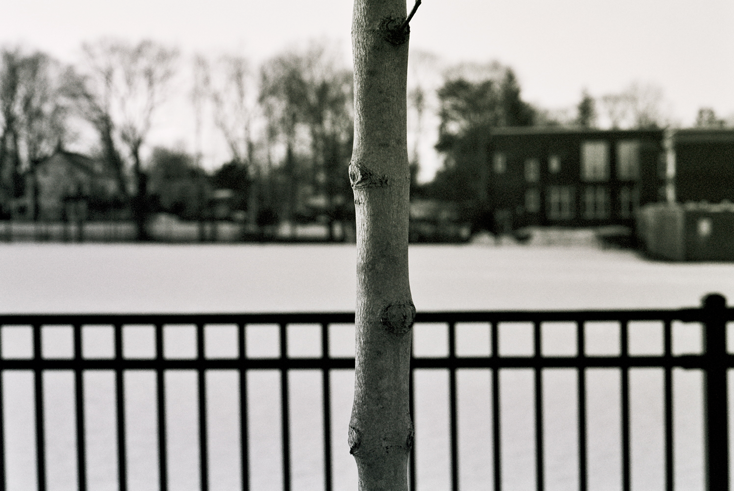 Mamaroneck_1500x1003.png