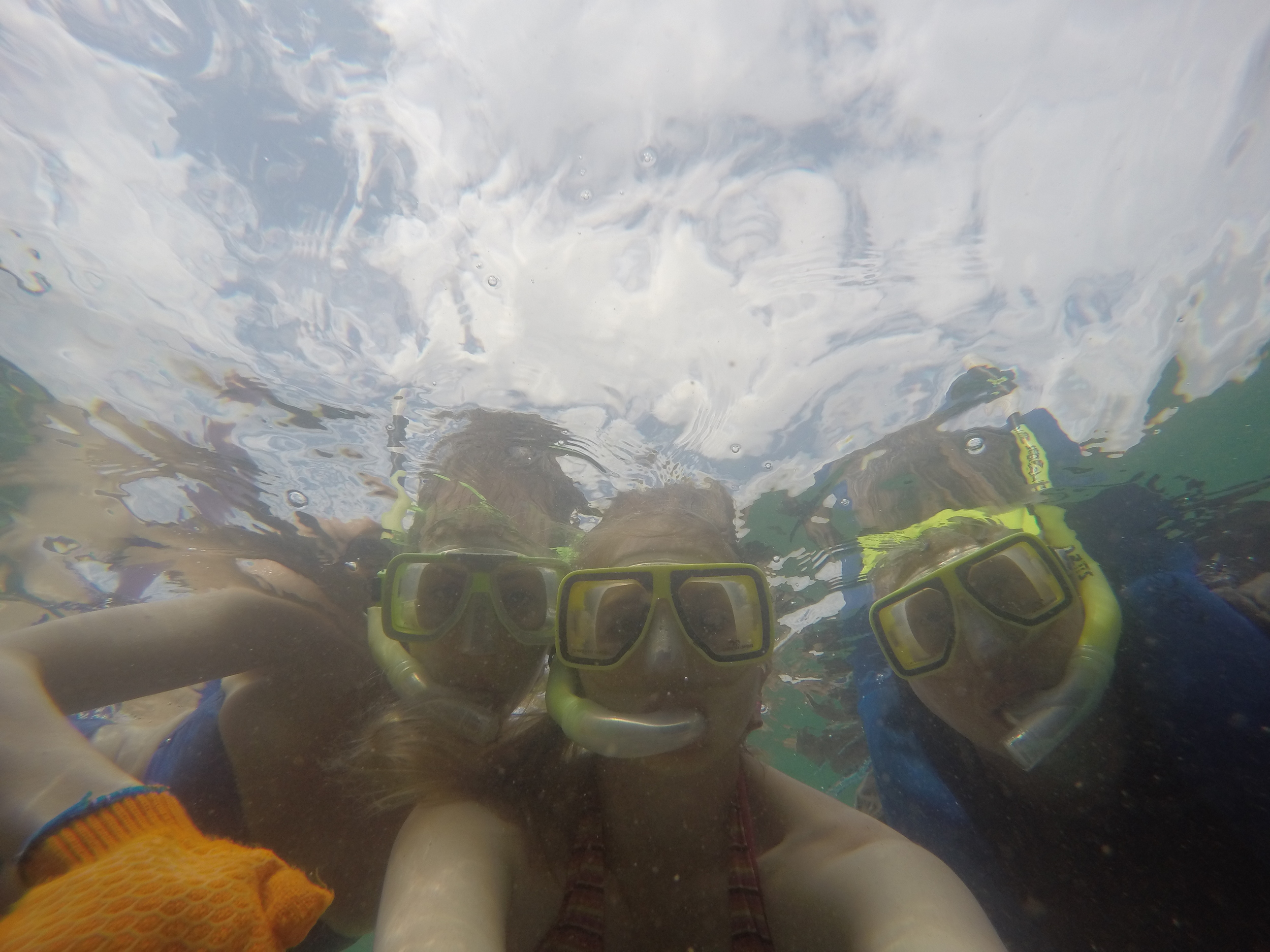 Moreton Island National Park