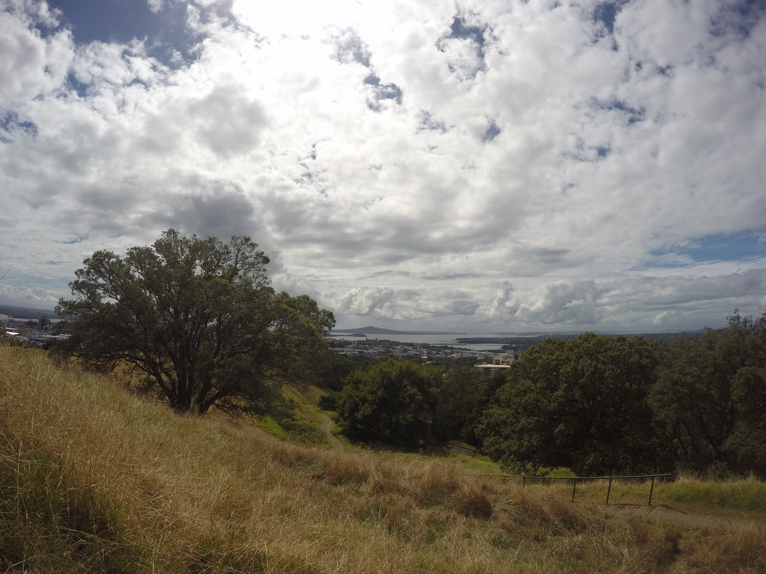 Mt. Eden