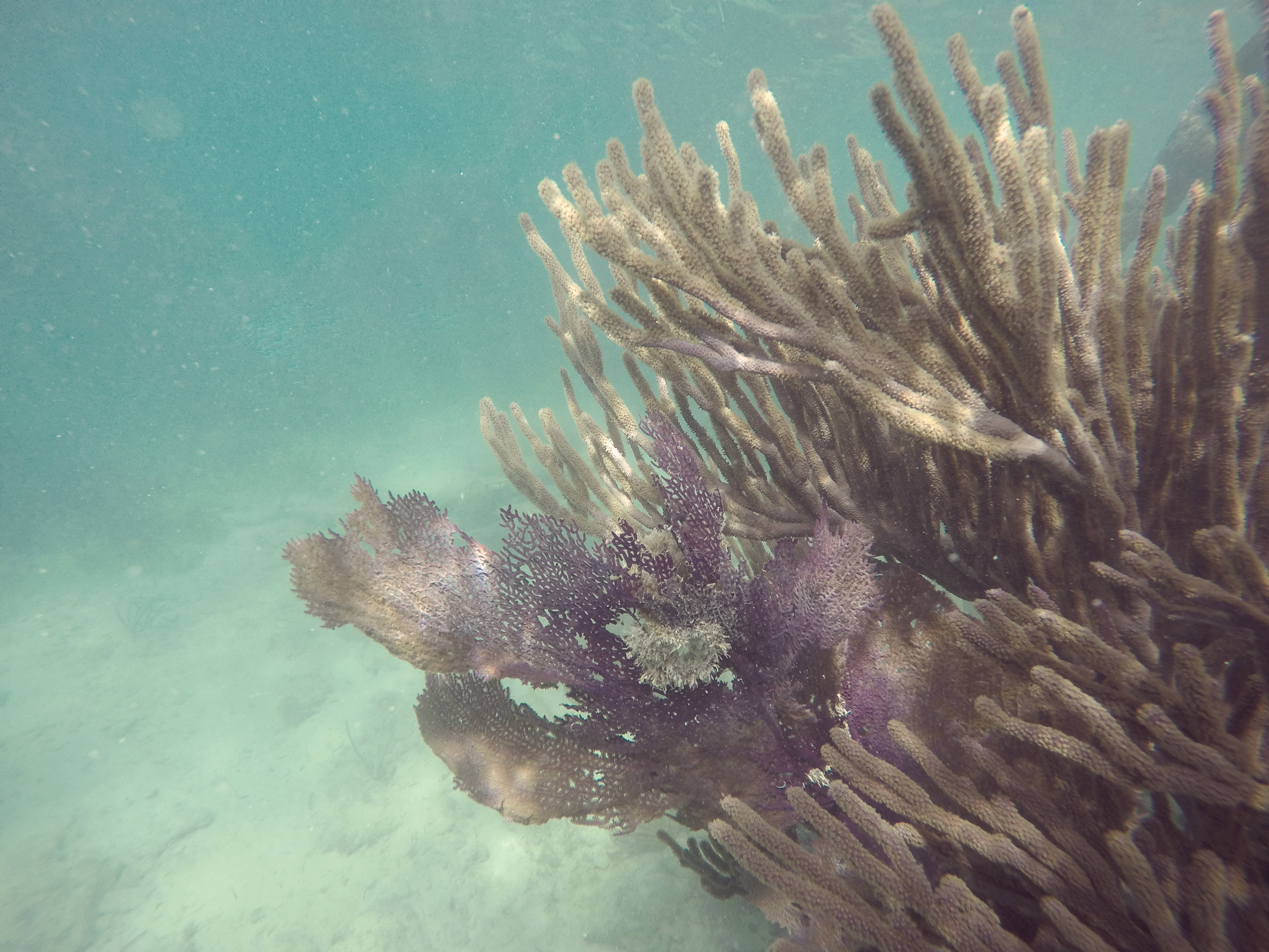 Fort Jefferson National Park