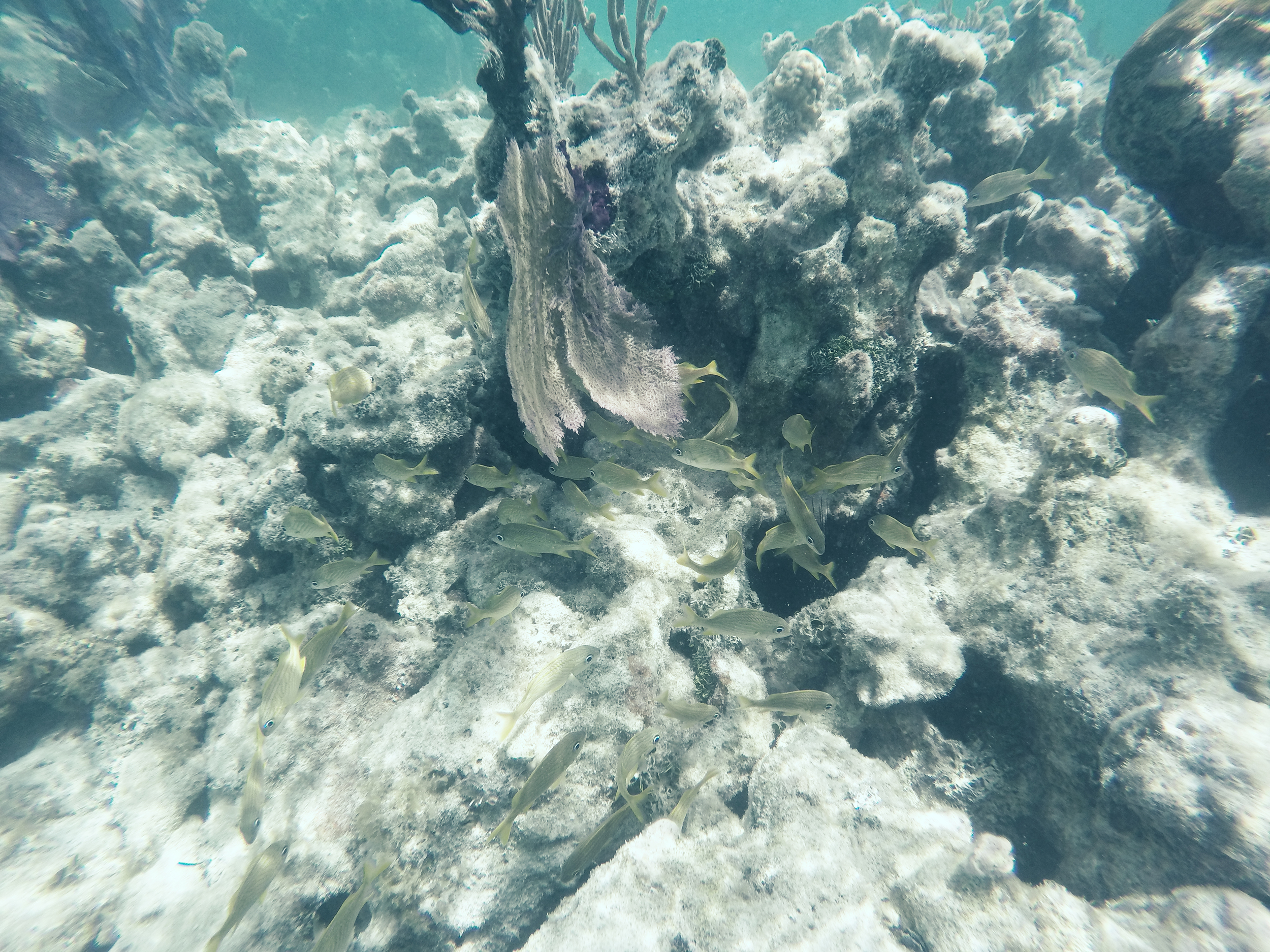 Fort Jefferson National Park