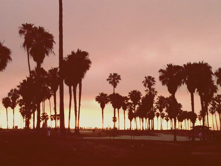 Venice Beach