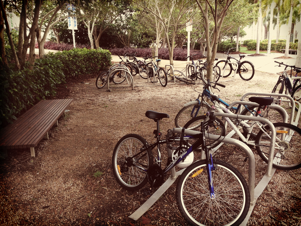 esplanade-bikes.jpg
