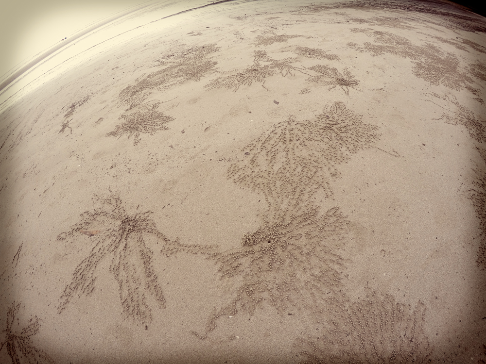 Crab Sand Art at Kulki