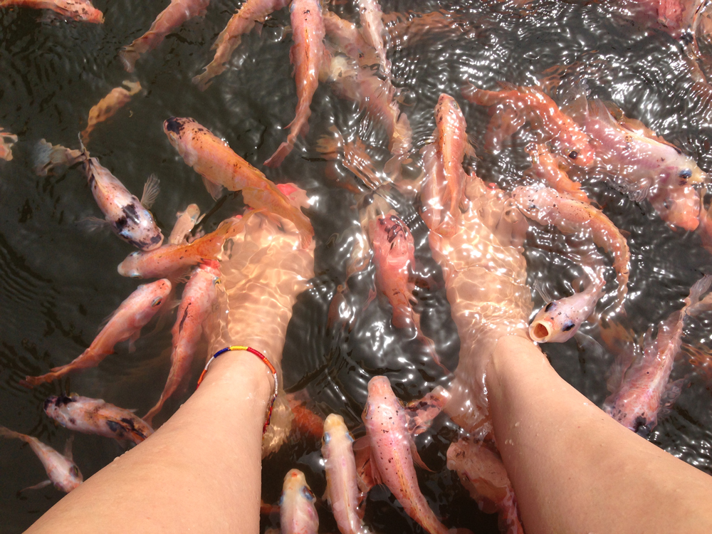 Fish "massage." So weird. 