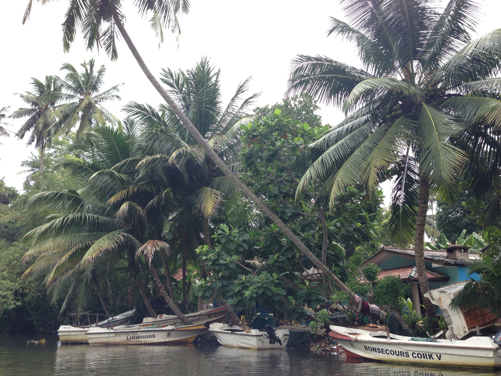 Bad boats. You are not eco-friendly! 