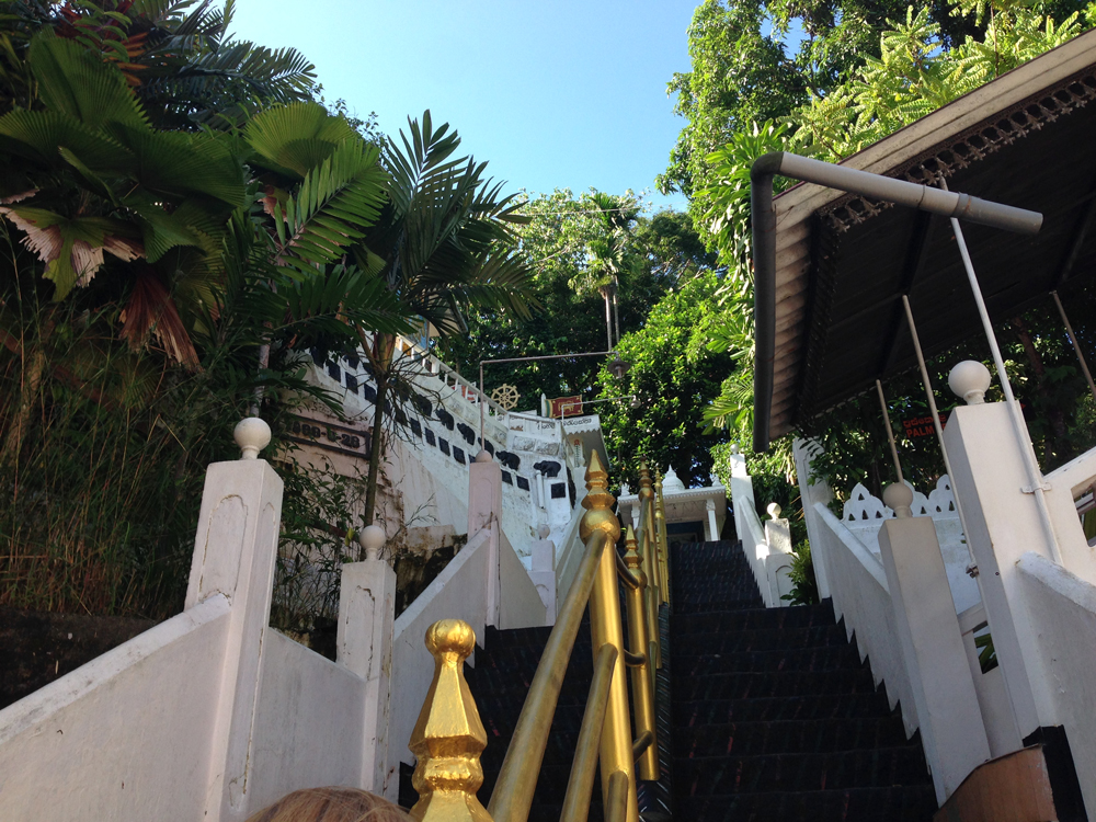 Jungle Temple Entrance