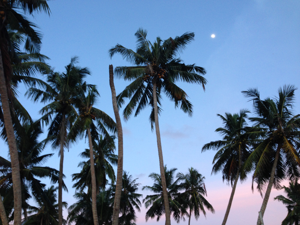 Full/Blue Moon