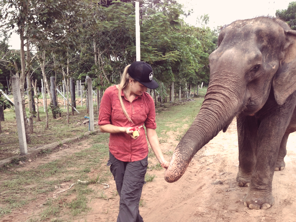 (Thong Dee) Just out takin' my elephant for a walk. No big deal. 