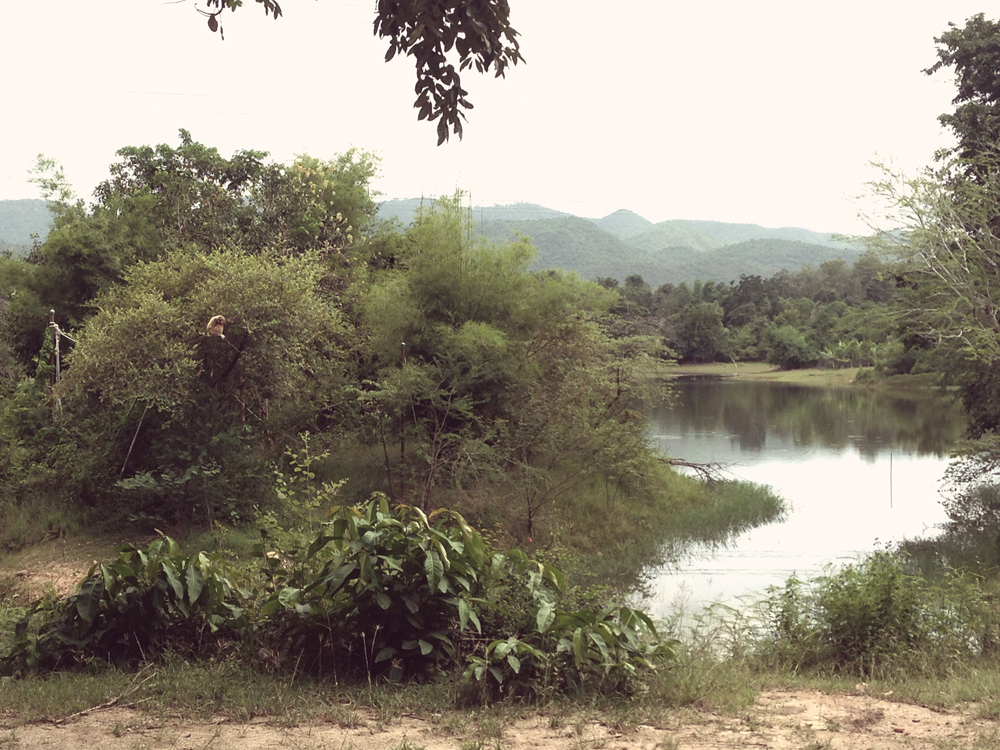 Gibbon Islands 