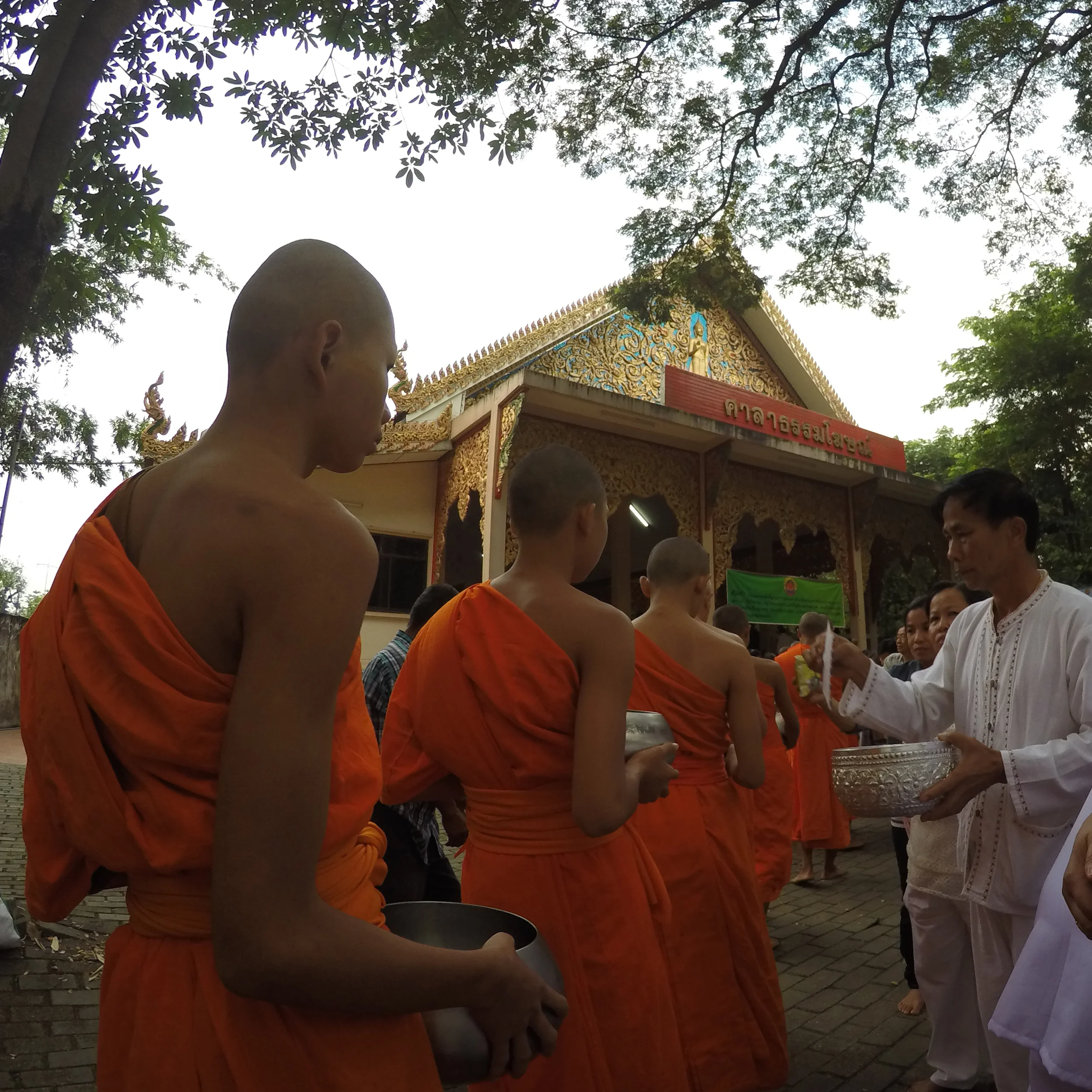 Collecting alms