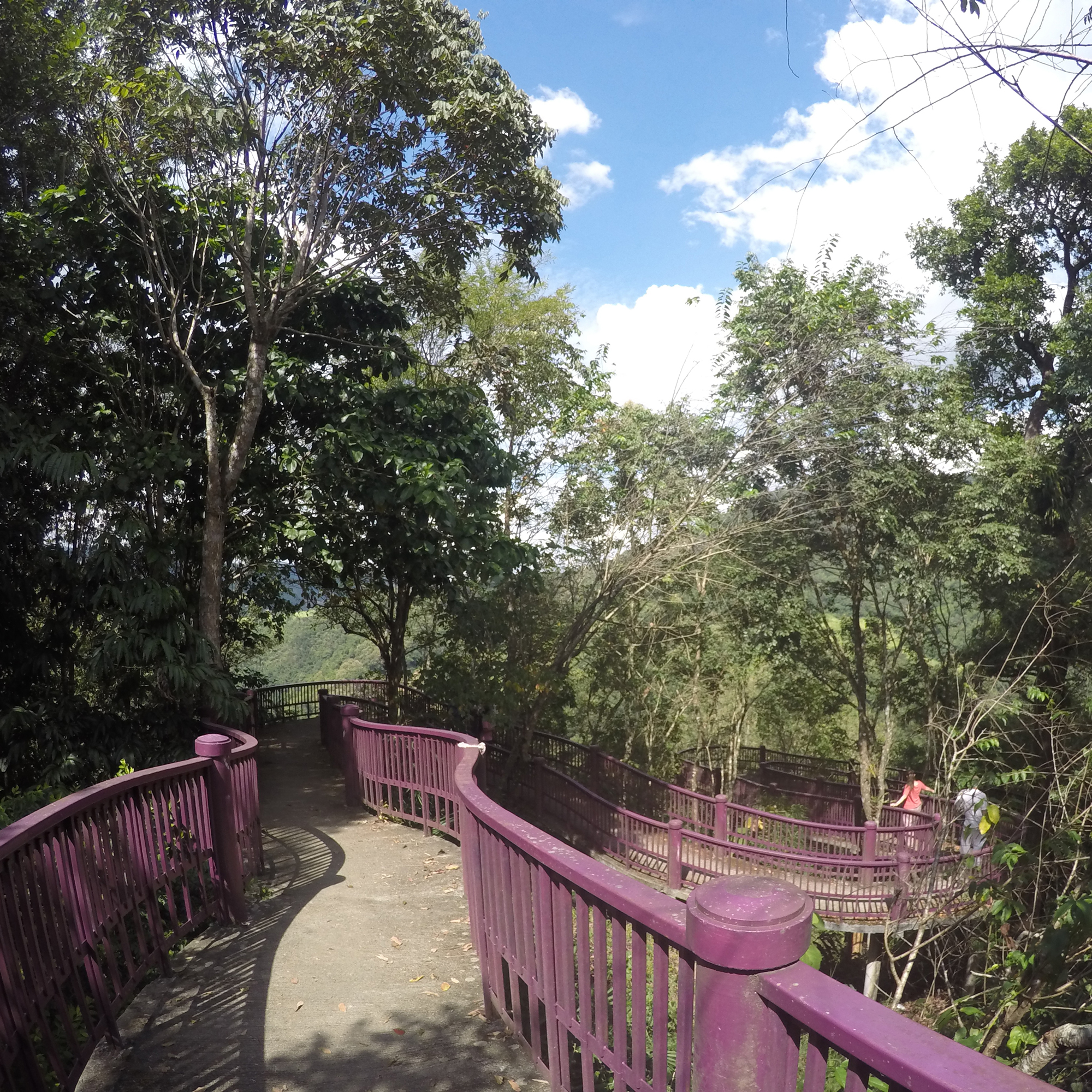 Forest Temple Meditation Trail