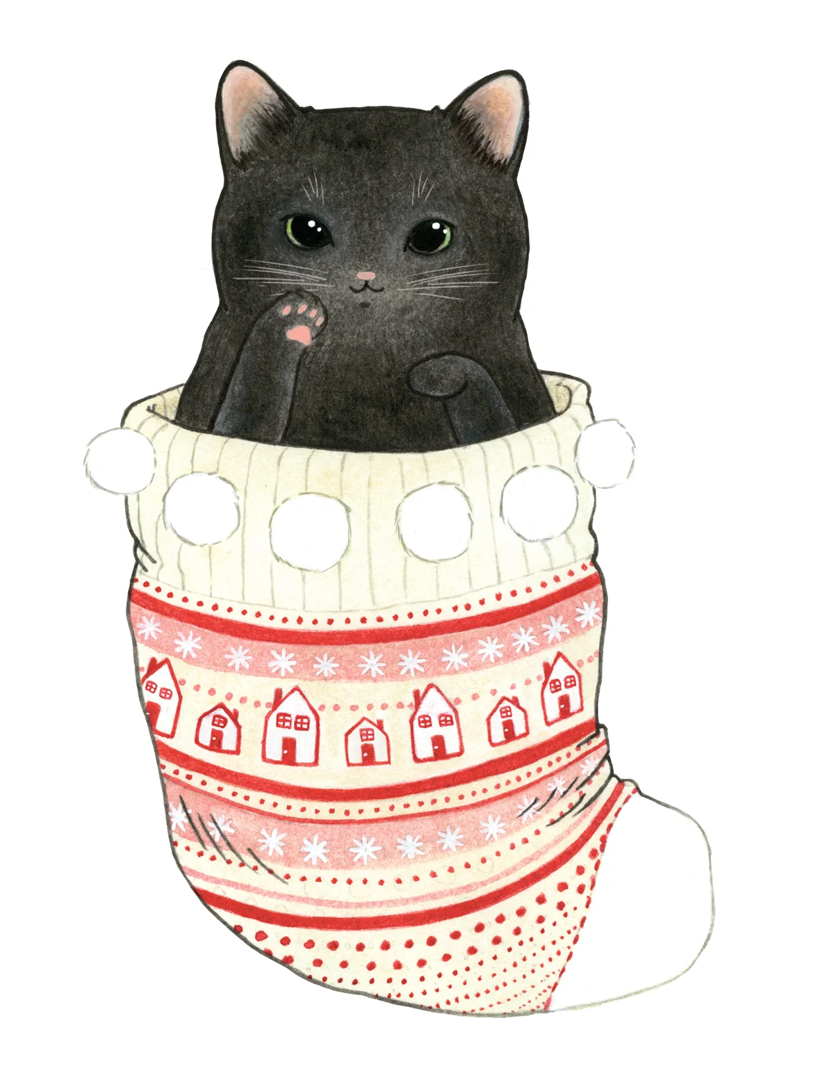 Black Cat in a Stocking