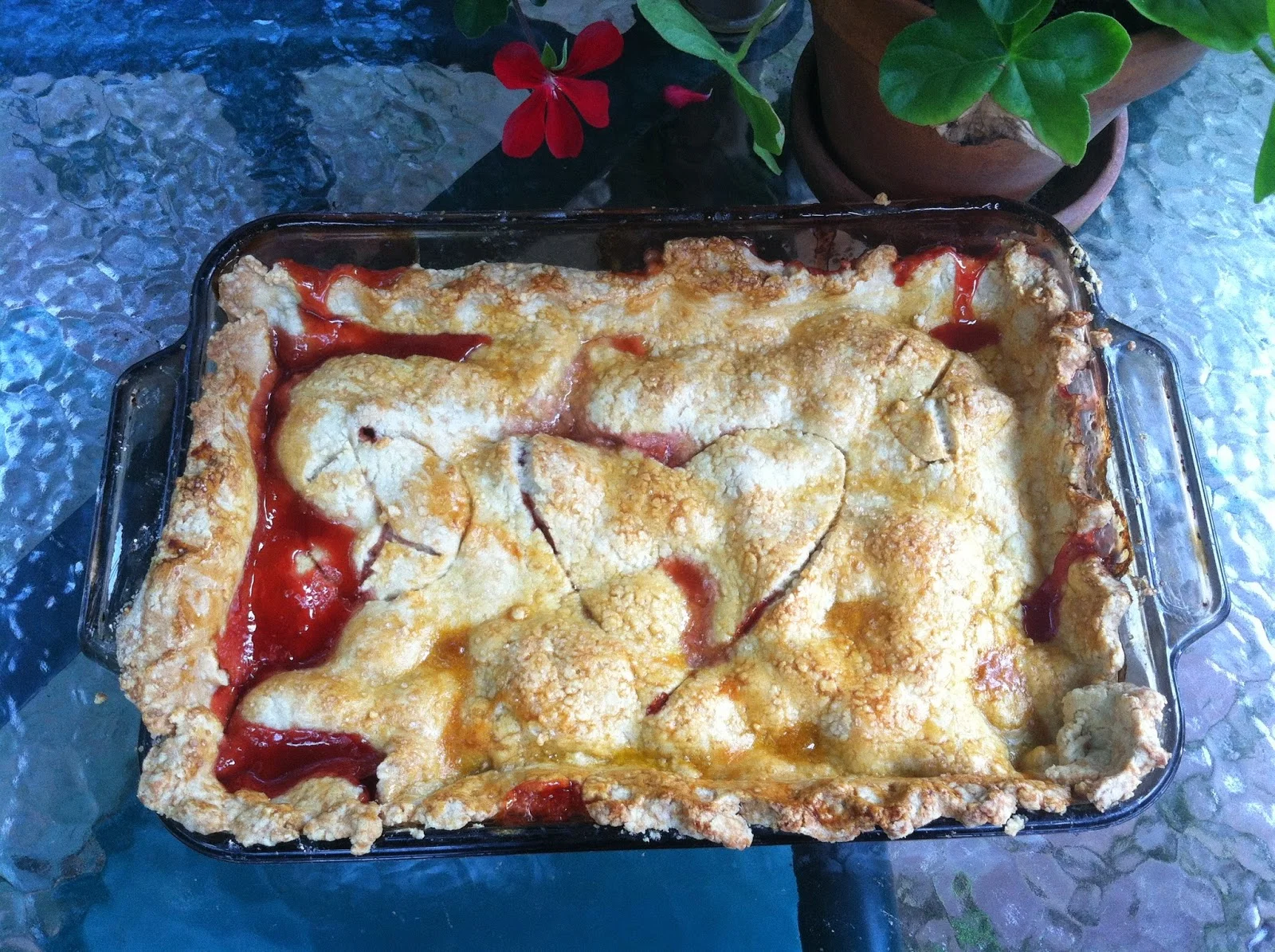 rhubarb.jpg