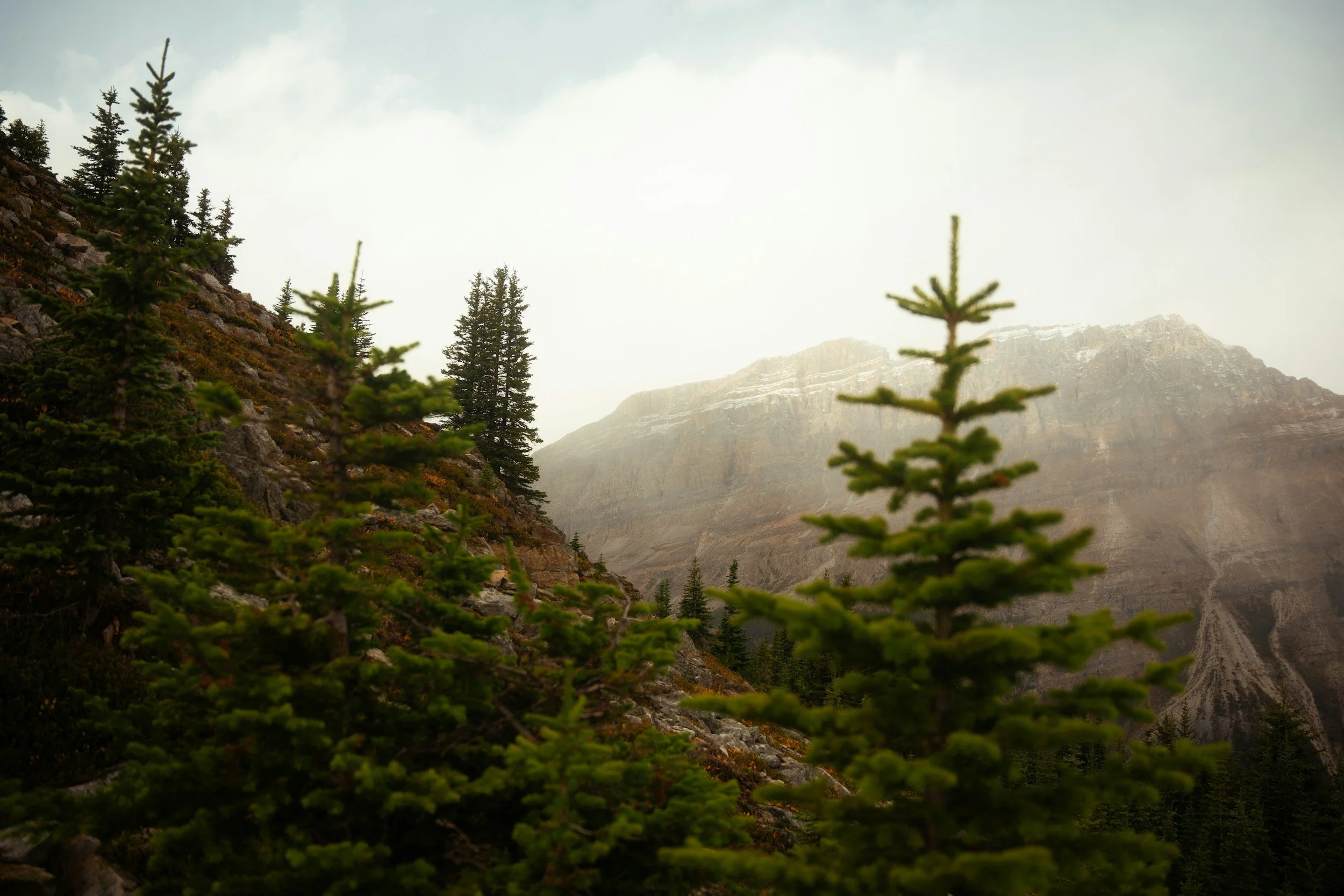 unsplash-image--T9iBaUTycg.jpg
