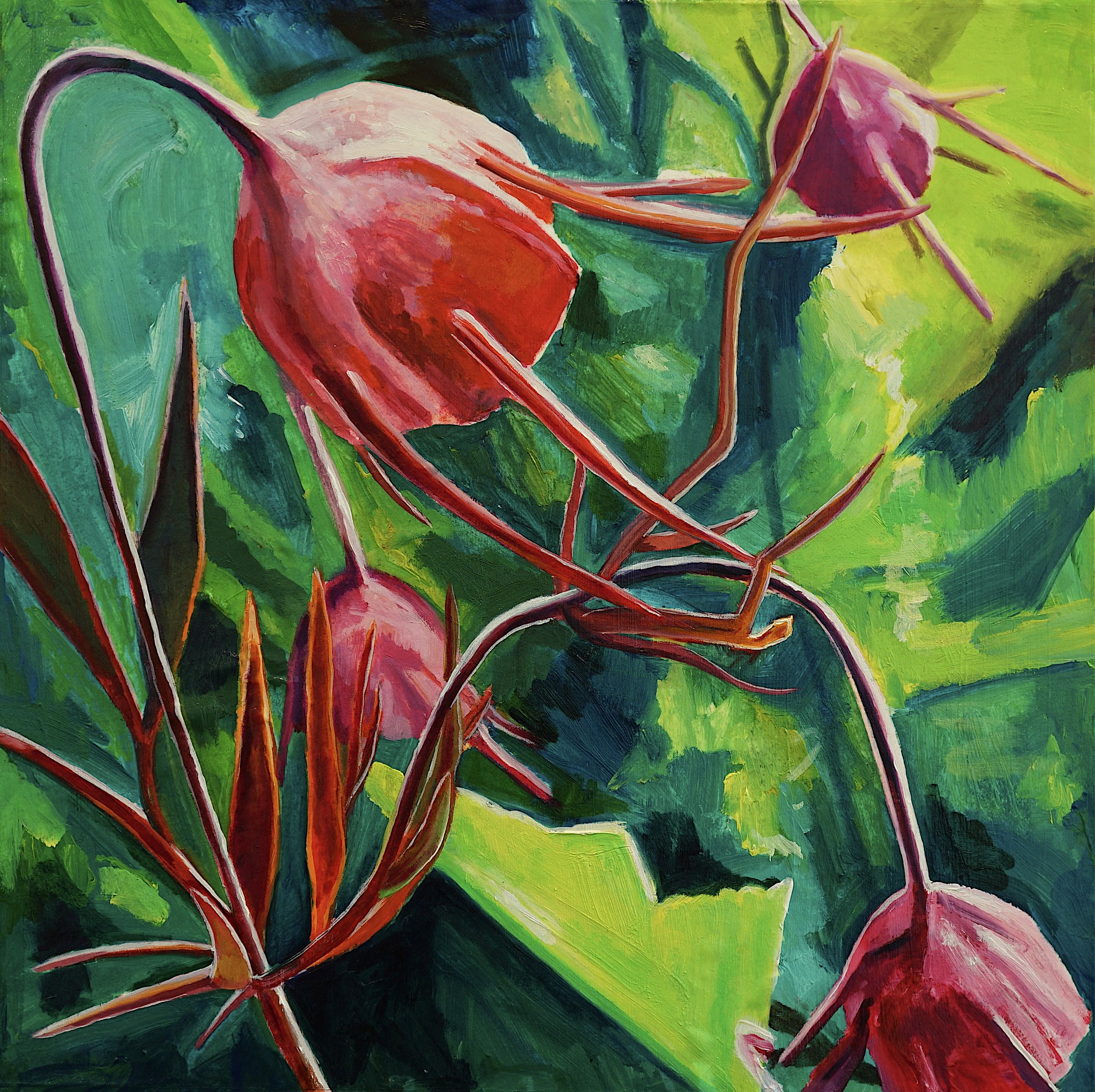 Bewildering: Geum triflorum (Prairie smoke), 2024, acrylic and oil on Tyvek on panel, 12 x 12 inches