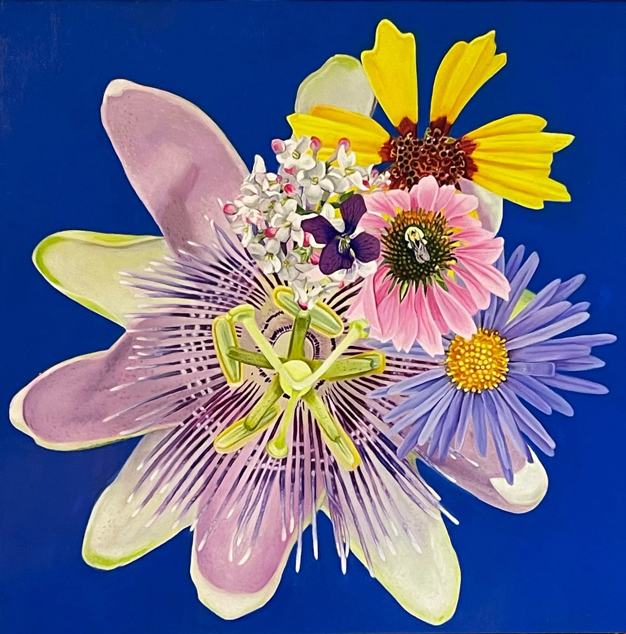 Wildflower Revolution: Passiflora purpurea, Echinacea purpurea, Symphyotrichum novae-angliae, Coreopsis lanceolata, Viburnum carlesii, Viola sororia (Purple passionflower, purple coneflower, New Engla