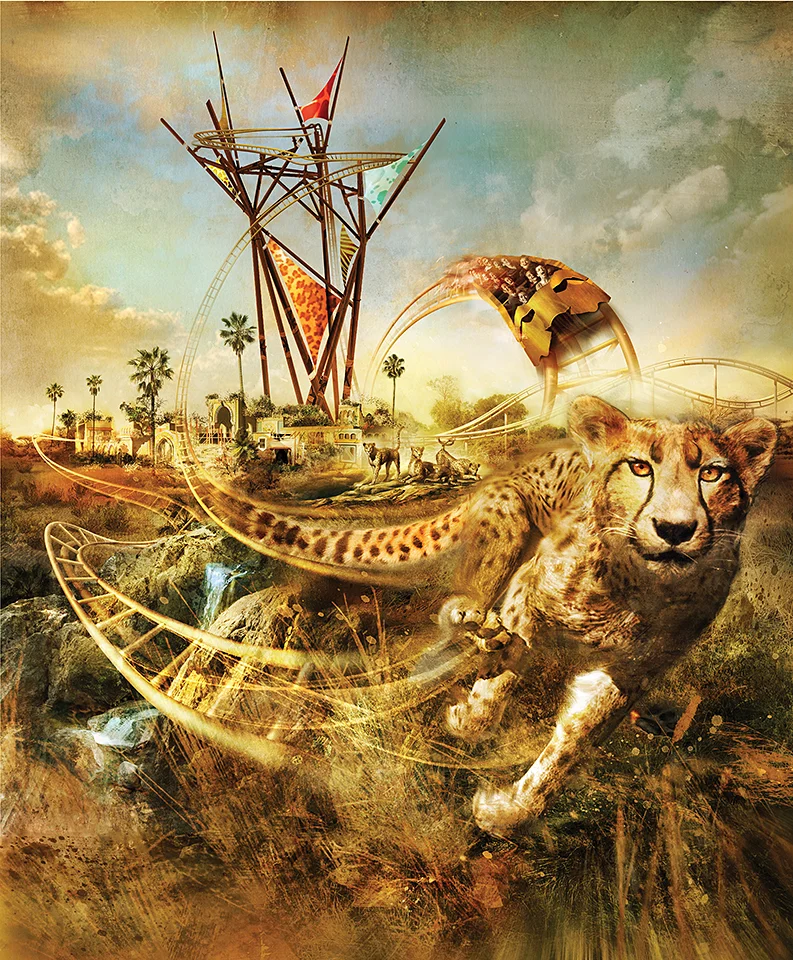 Busch Gardens, Tampa Bay