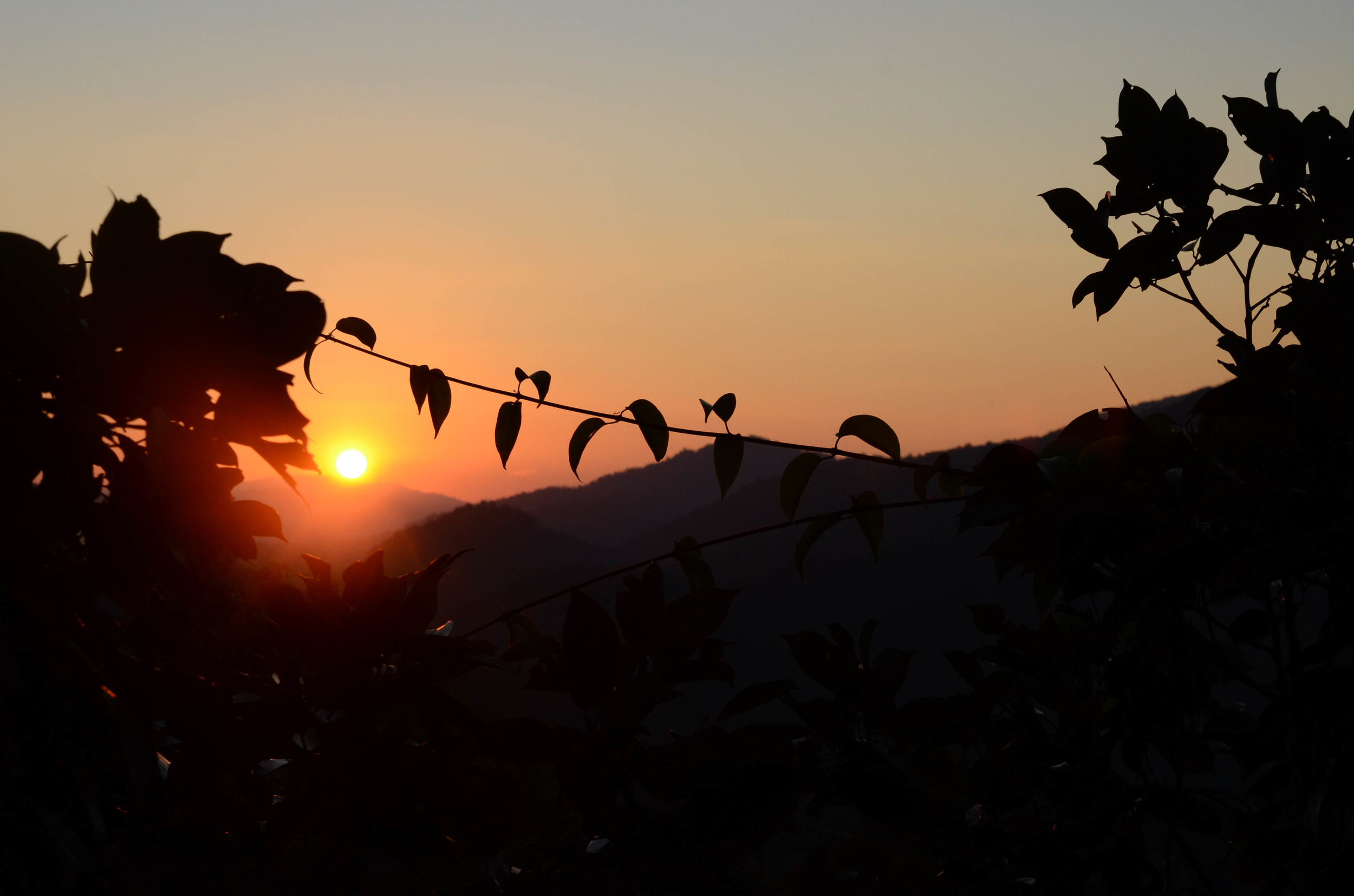 DSC_8416.jpg