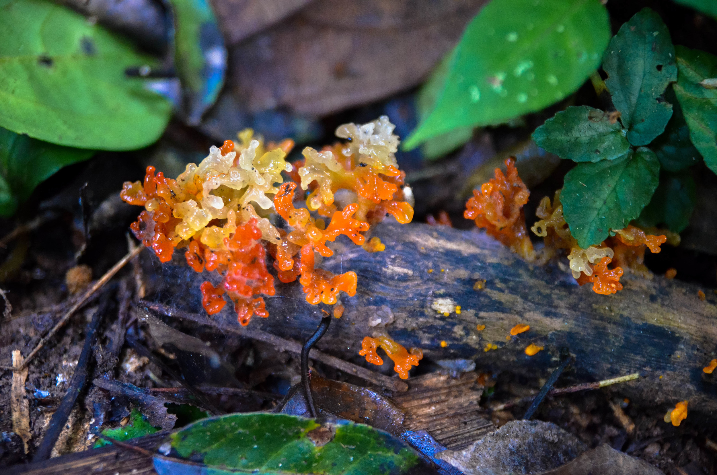 DSC_8634.jpg