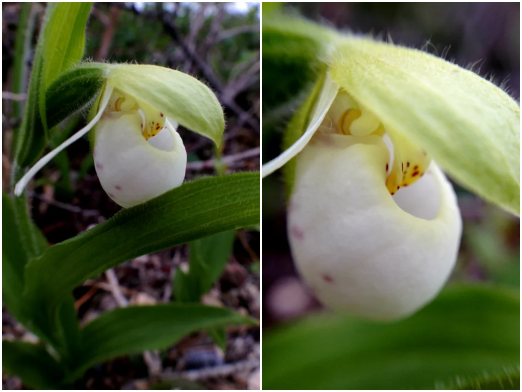Fotor0726124729.jpg