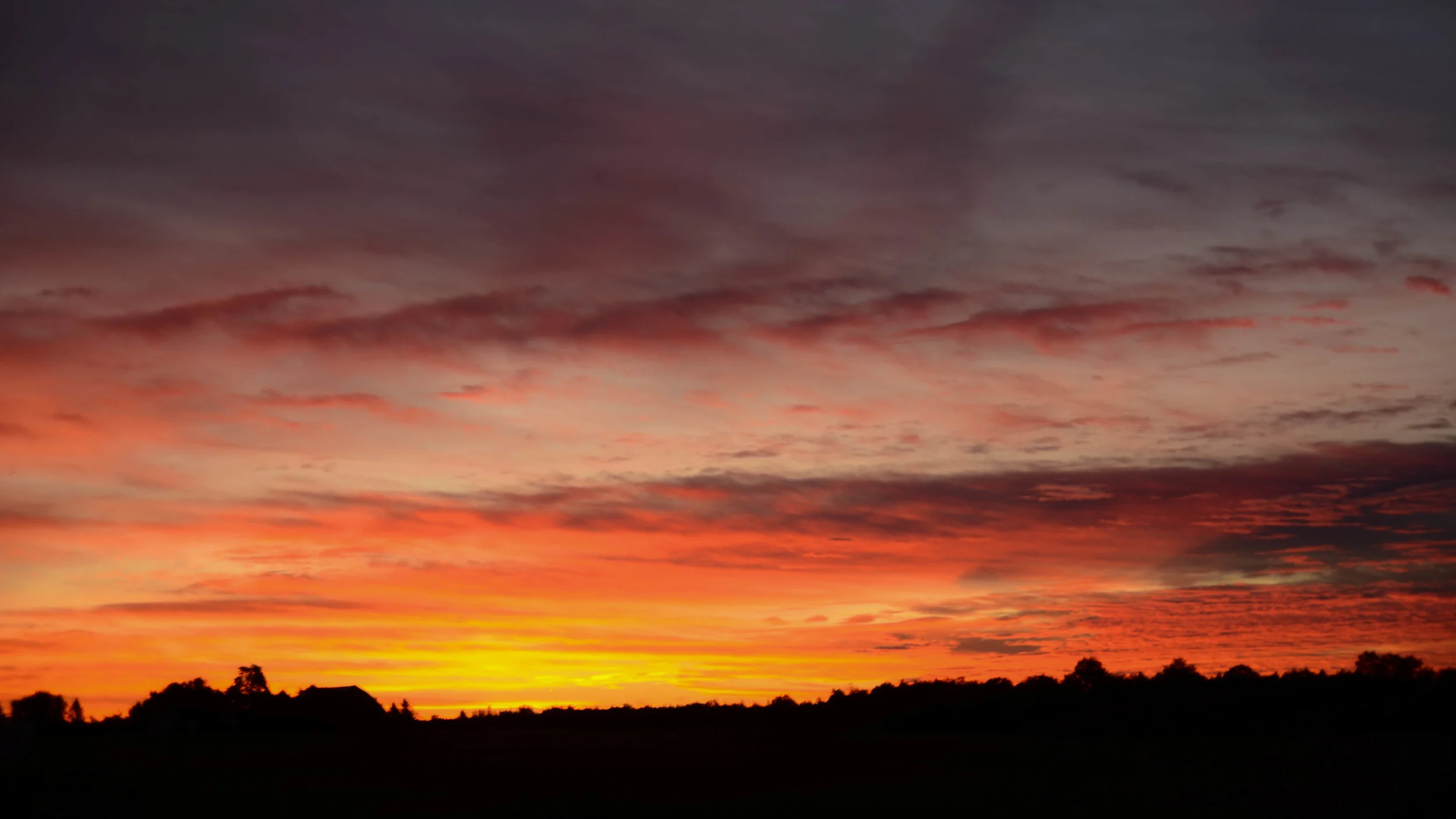 DSC_0027.jpg
