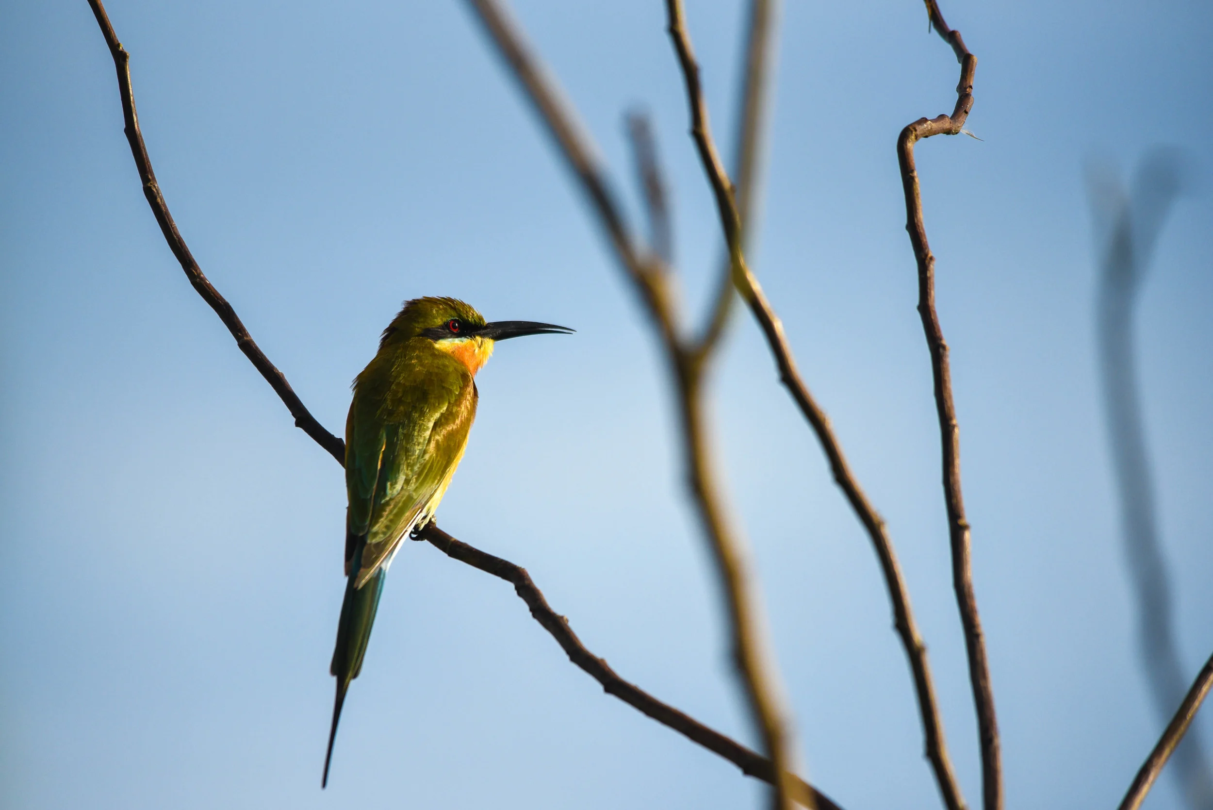 DSC_0798.jpg