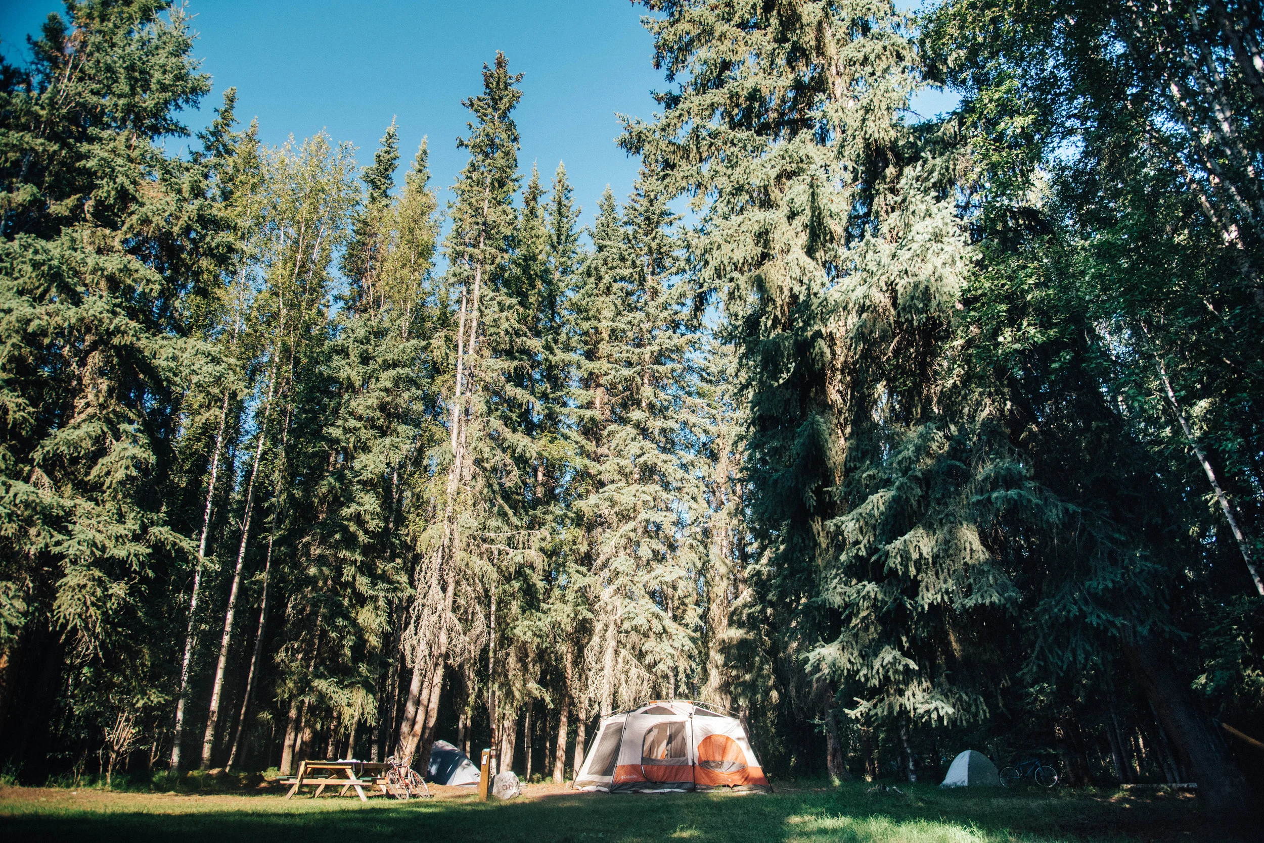 _DSC9390.jpg