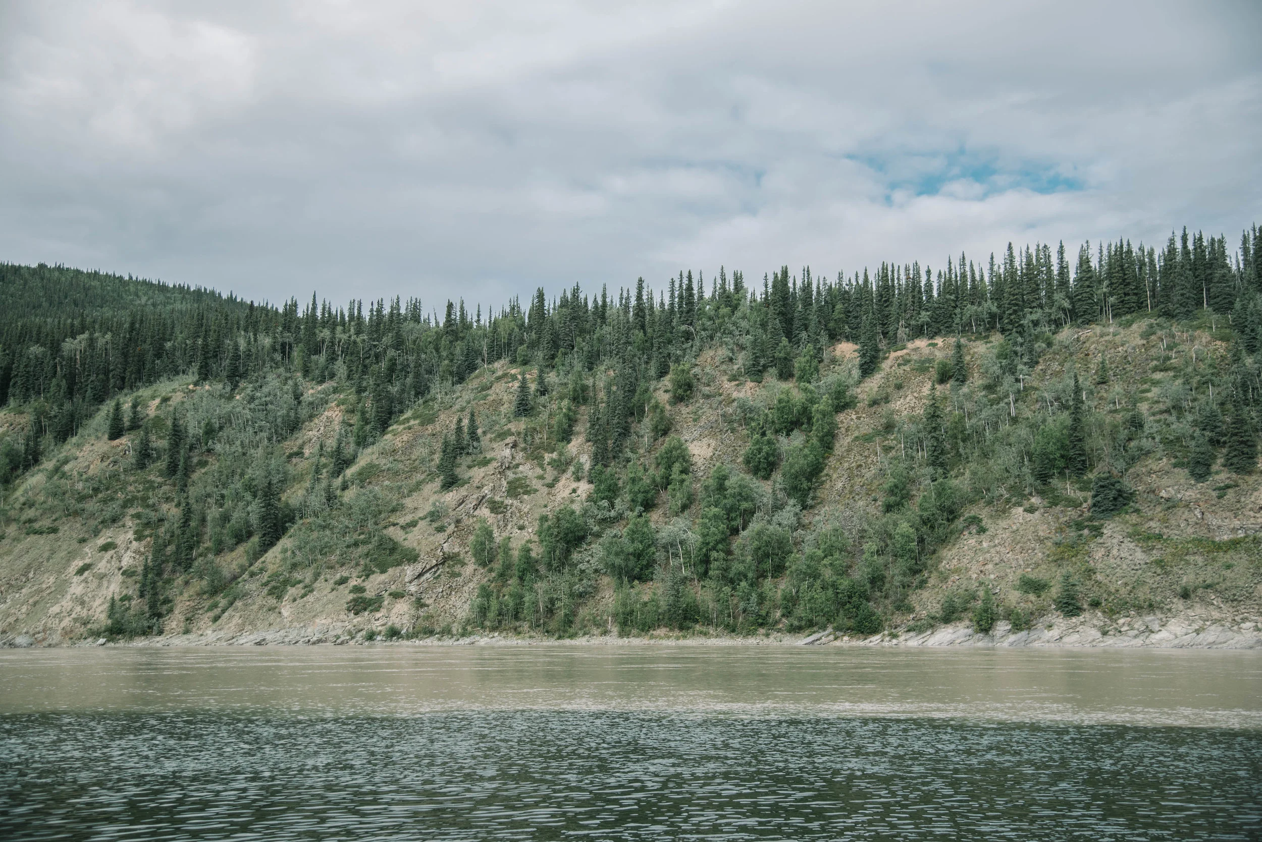 _DSC8369.jpg